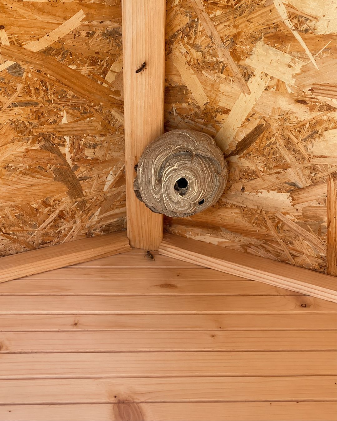 Comprobación de una cabaña de madera antes de usarla